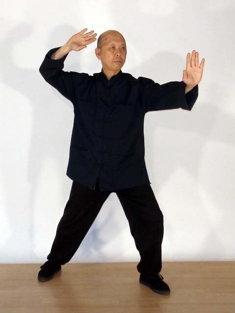 Yang-Stil Taijiquan mit 13 Folgen 十三式杨式太极拳 