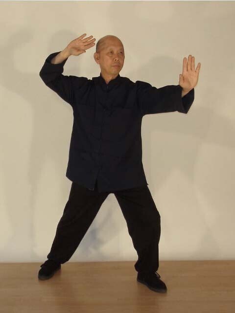 Tai Chi Spezial: Yang-Stil Taijiquan mit 85 Folgen