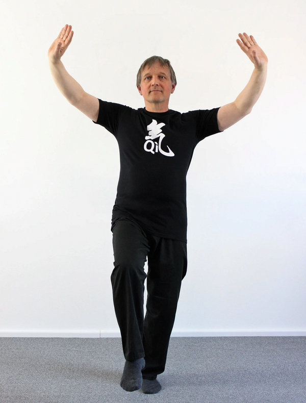 Daoyin Baojian Gong - Gesundheitsschützendes Qigong