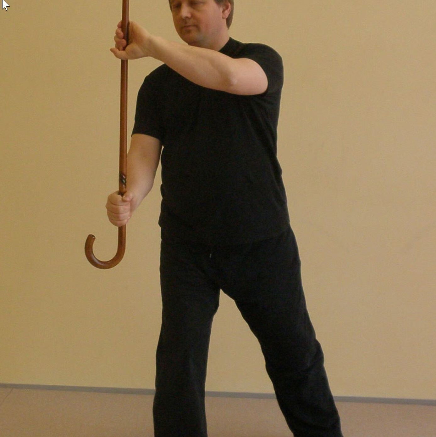 Taiji Spazierstock und 24er Peking Langstockform