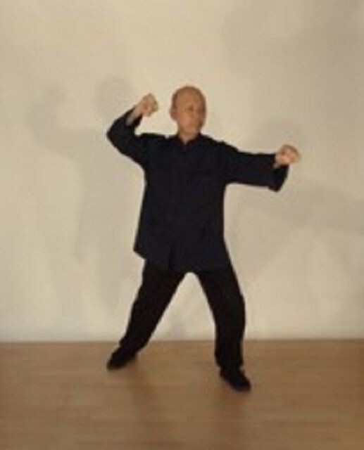Yang-Stil Taijiquan mit 85 Folgen