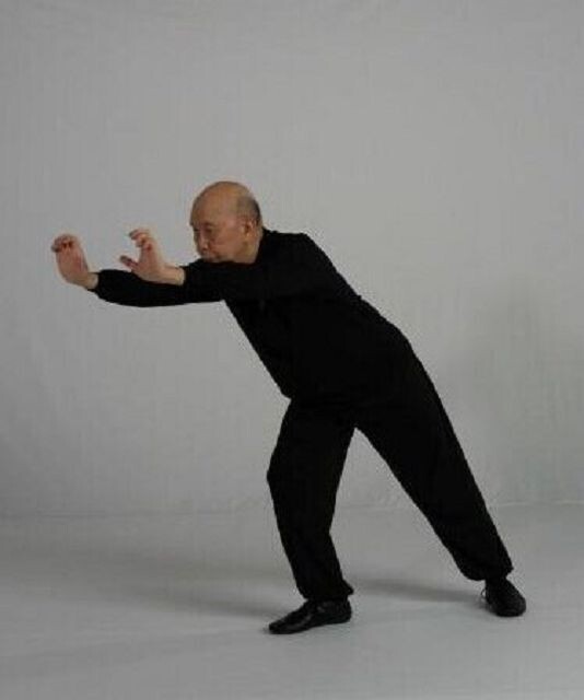 TongJing XingQiFa - Qigong zur Öffnung der Meridiane